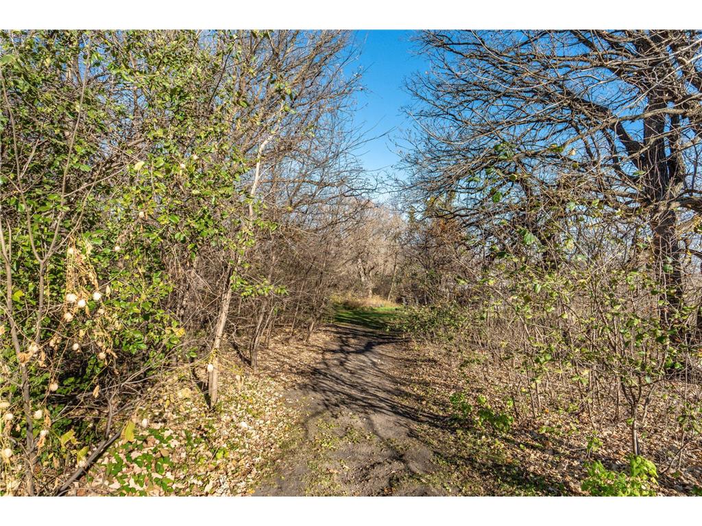 24543 County Highway 124 Dane Prairie Twp MN 56537 6814742 image66