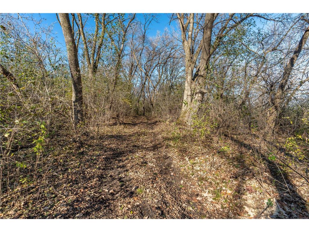 24543 County Highway 124 Dane Prairie Twp MN 56537 6814742 image69