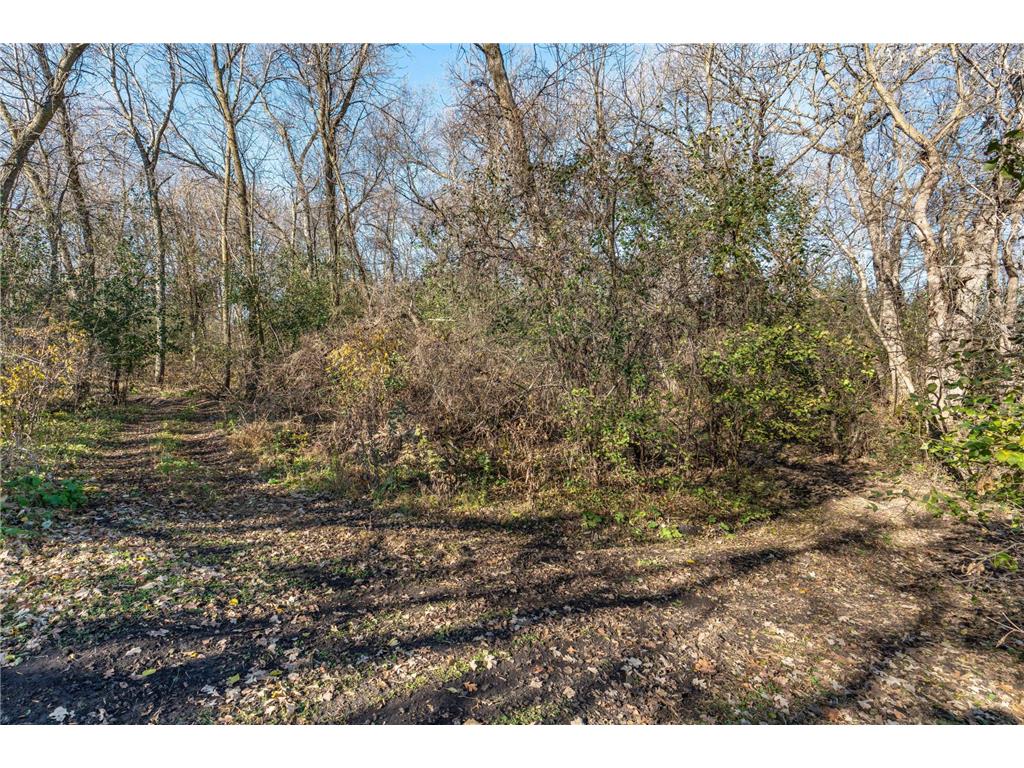 24543 County Highway 124 Dane Prairie Twp MN 56537 6814742 image70