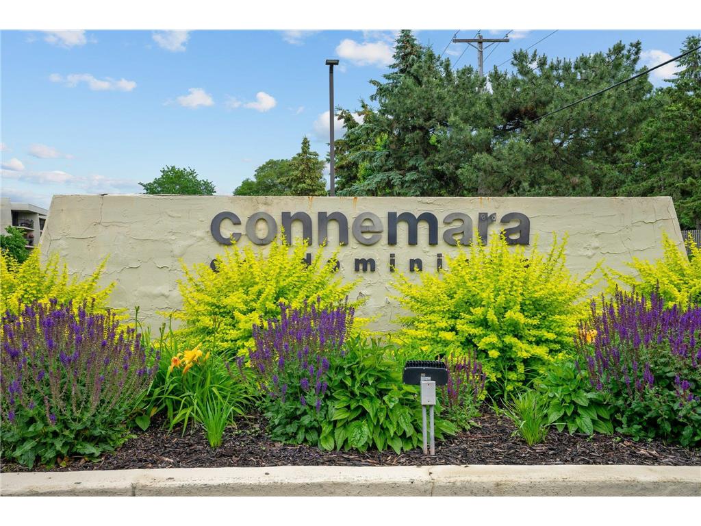 2455 Londin Lane E #115 Maplewood MN 55119 6619841 image1