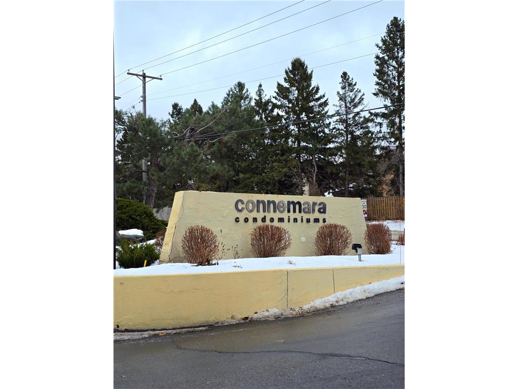 2455 Londin Lane E #117 Maplewood MN 55119 7009398 image29