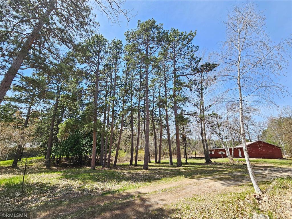 24569 County 18 Nevis Twp MN 56467 7077737 image9