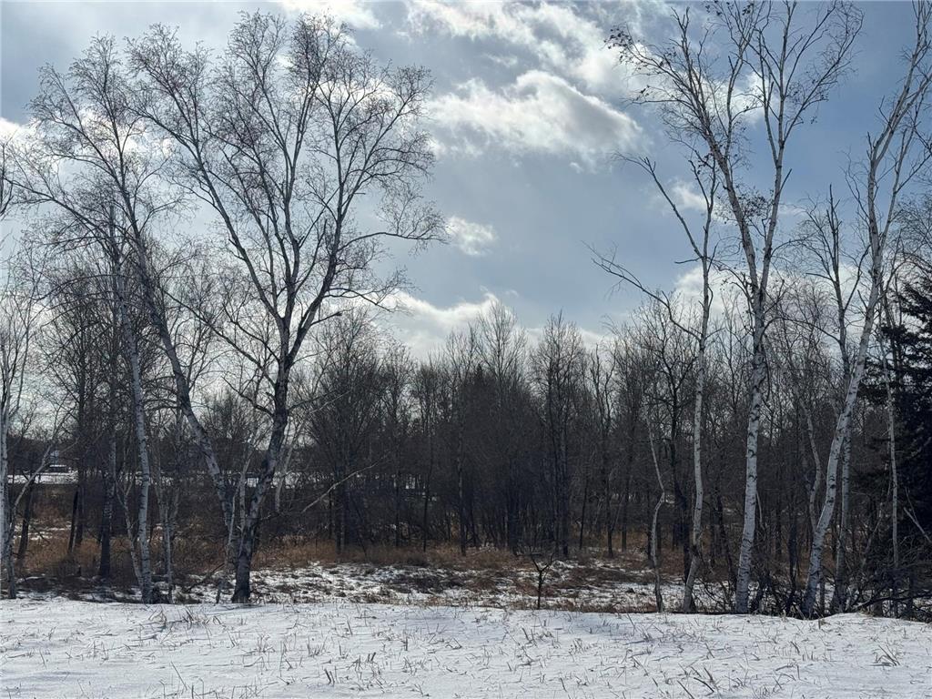 2458 179th Avenue NE Ham Lake MN 55304 6825487 image1