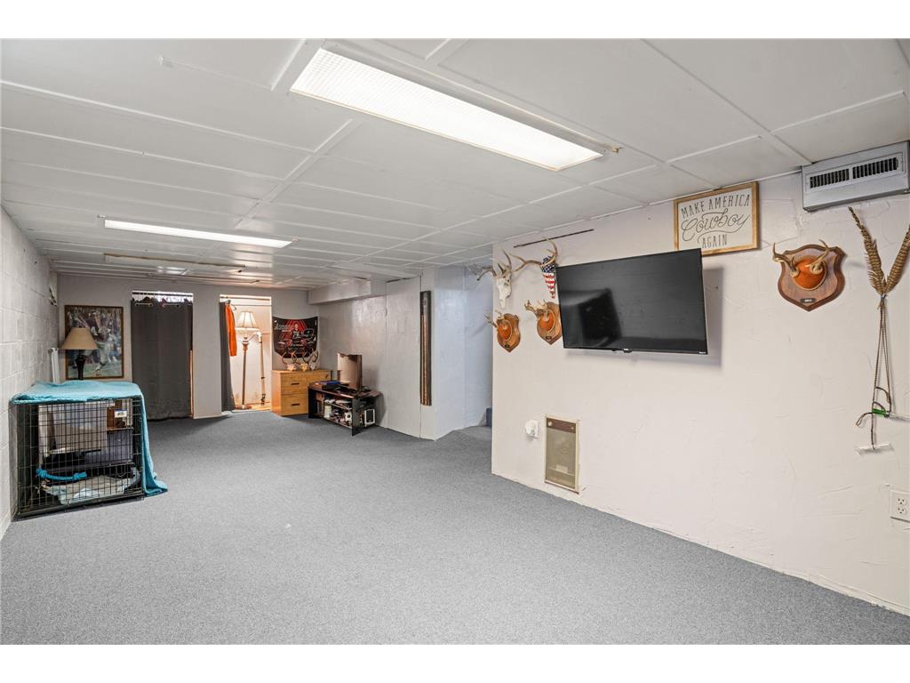 246 Beech Avenue Owatonna MN 55060 6822843 image20