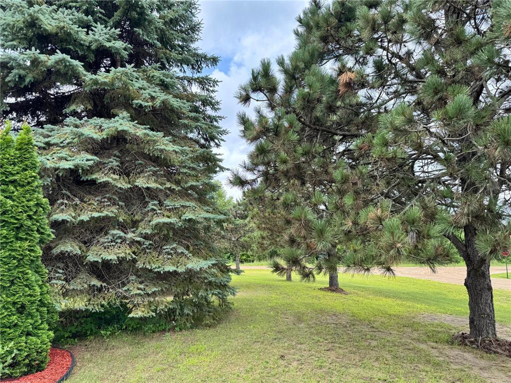 246 Park Circle Ottertail MN 56571 7052306 image27