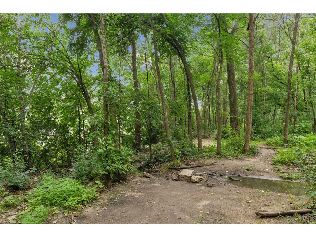 2460 Kewanee Way Golden Valley MN 55422 7079981 image62
