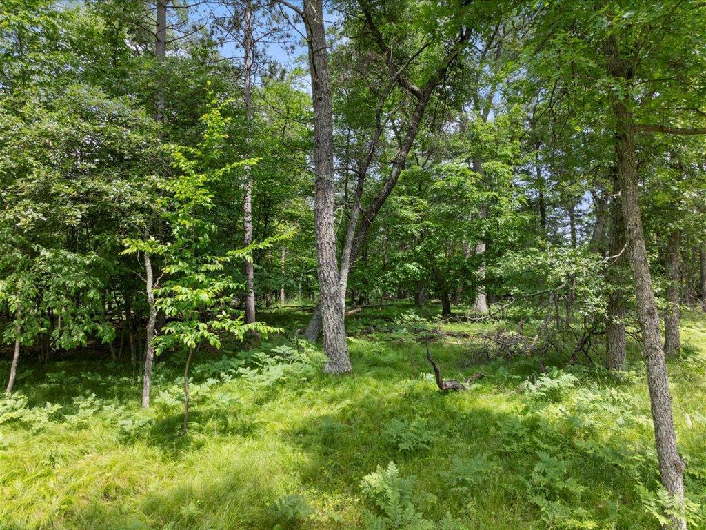 24601 Perrin Pt. Nisswa MN 56468 - Clark 6745693 image12