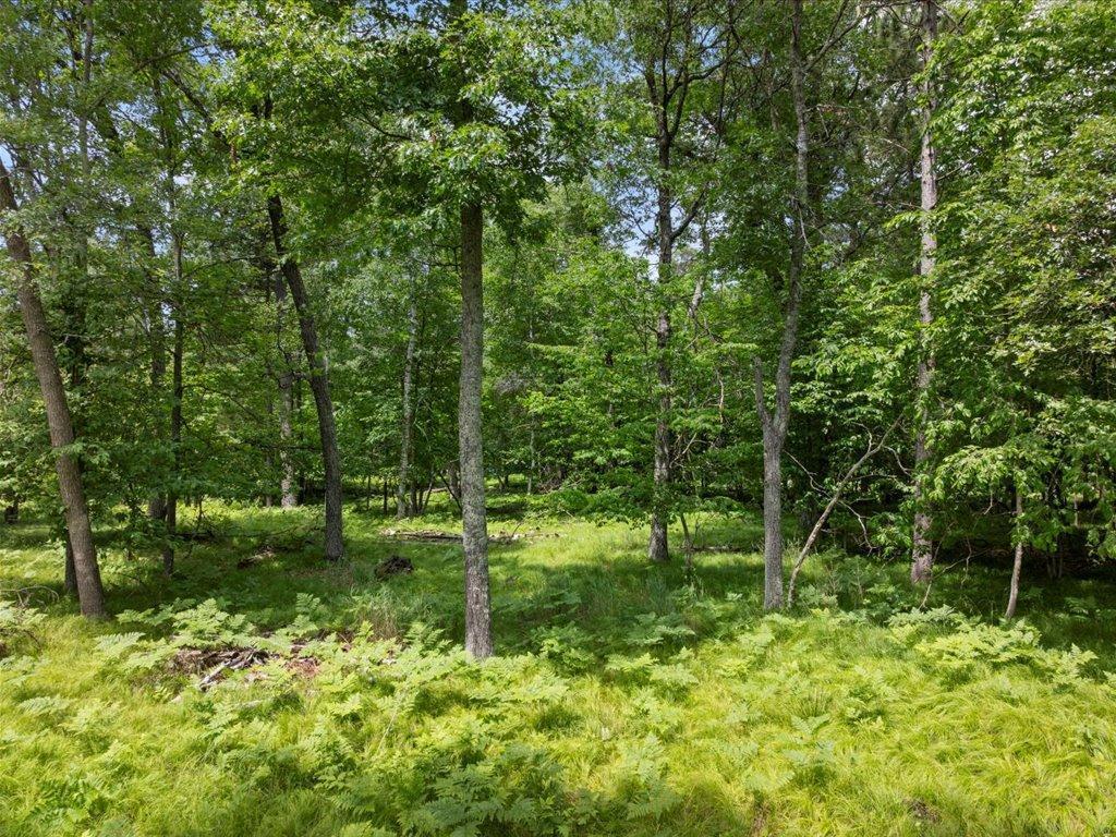 24601 Perrin Pt. Nisswa MN 56468 - Clark 6745693 image13