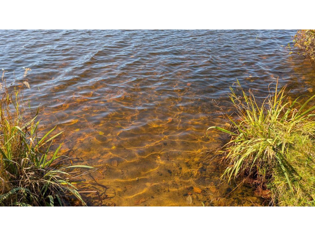 24608 E Long Lake Road Bigfork MN 56628 - Long 6809349 image1