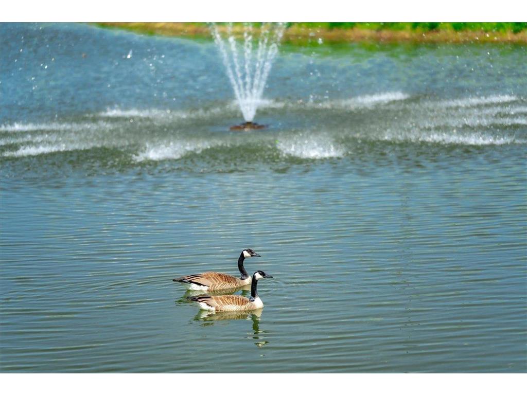 2461 Sharon Lane Hudson WI 54016 6737907 image15