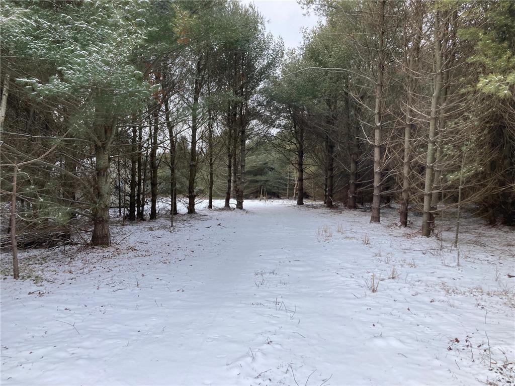 24611 Anchor Inn Rd La Follette Twp WI 54893 6474825 image1