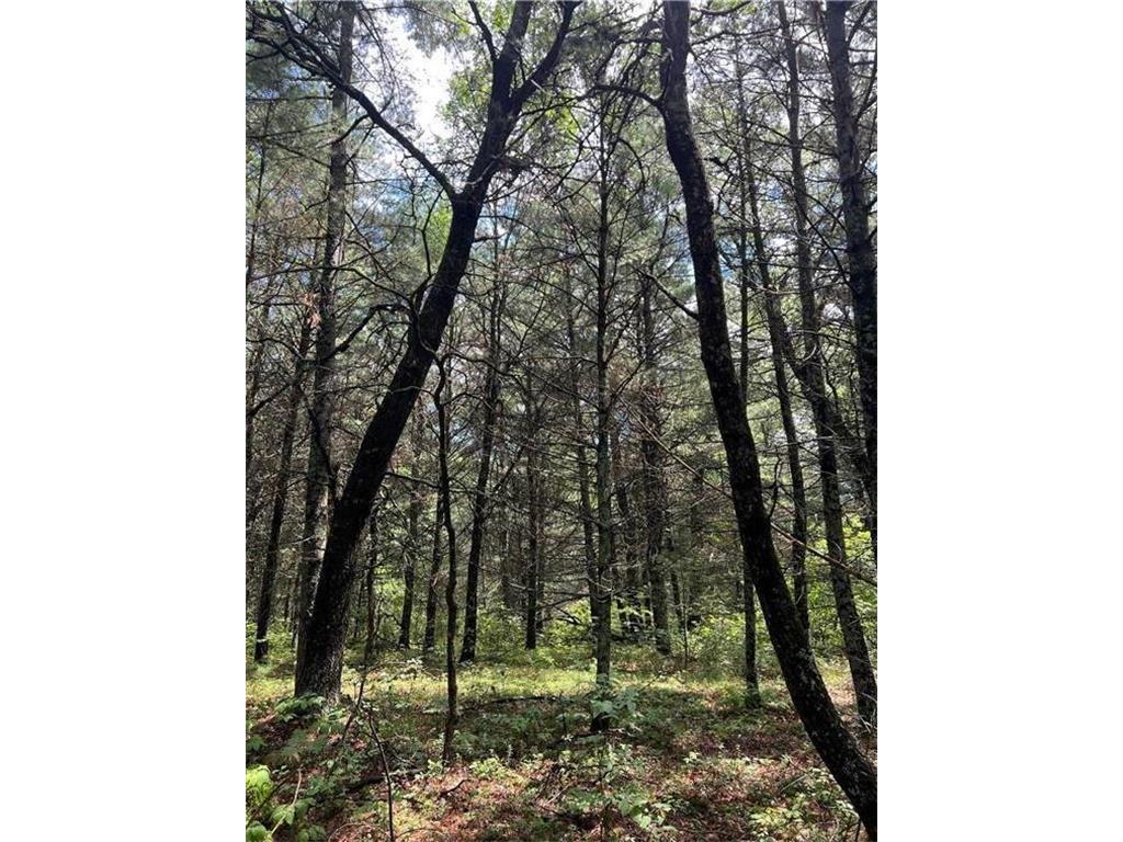 24642 Mclain Road Grantsburg WI 54840 6371188 image1