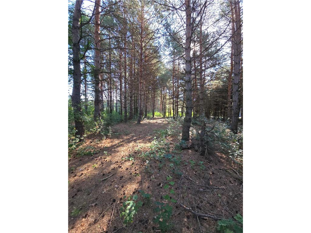 24661 187th Street NW Orrock Twp MN 55309 6780221 image33