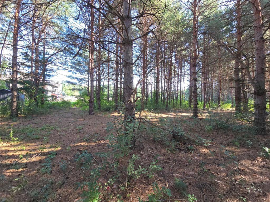 24661 187th Street NW Orrock Twp MN 55309 6780221 image39