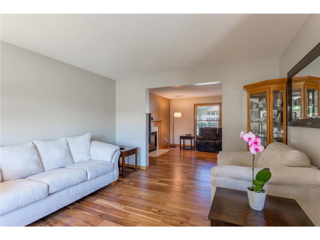 247 Pendryn Hill Circle Woodbury MN 55125 7089473 image19