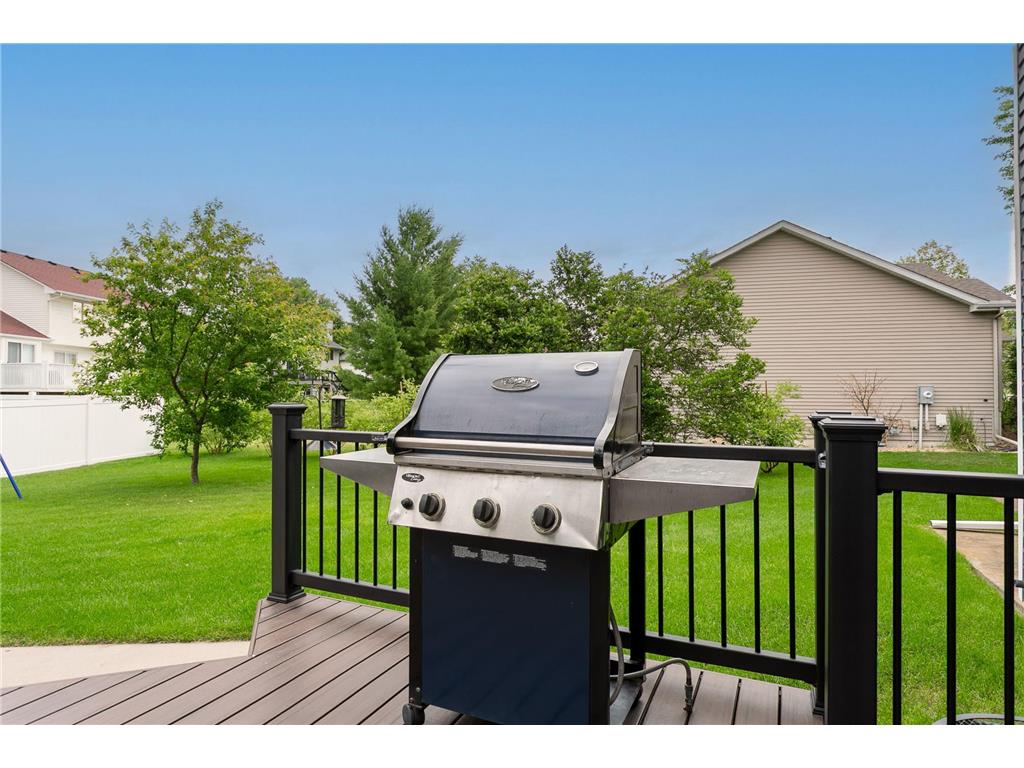 247 Pendryn Hill Circle Woodbury MN 55125 7089473 image75