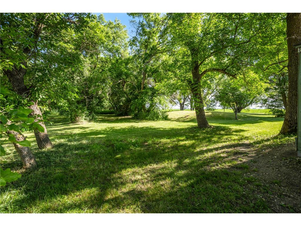 2472 360th Street Sunnyside Twp MN 56520 7098630 image41