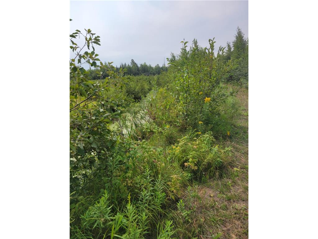 24732 State Hwy 18 Mcgrath MN 56350 6432881 image1