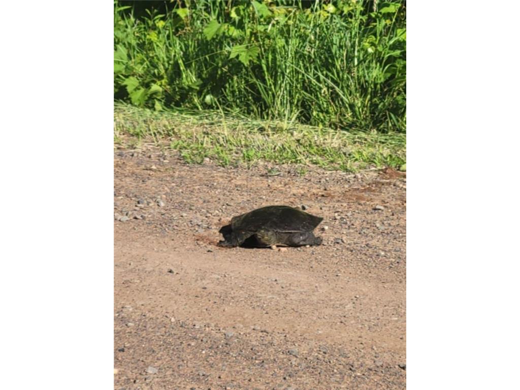 24733 Crooked River Road Chengwatana Twp MN 55063 - Snake River 7061516 image21