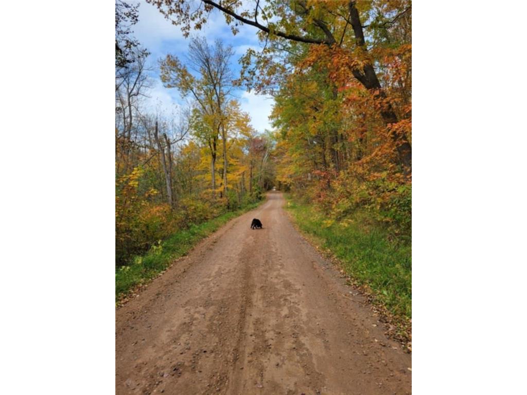 24733 Crooked River Road Chengwatana Twp MN 55063 - Snake River 7061516 image33