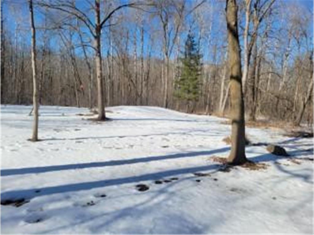24733 Crooked River Road Chengwatana Twp MN 55063 - Snake River 7061516 image37