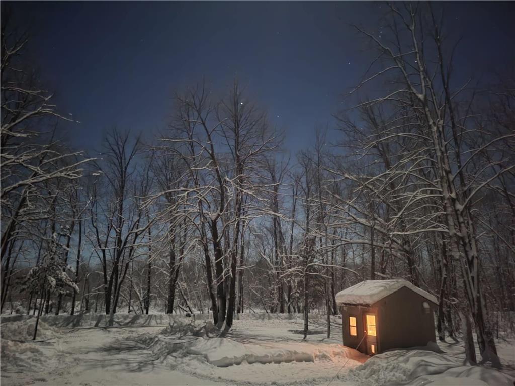 24733 Crooked River Road Chengwatana Twp MN 55063 - Snake River 7061516 image4