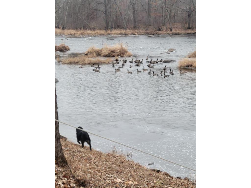 24733 Crooked River Road Chengwatana Twp MN 55063 - Snake River 7061516 image6