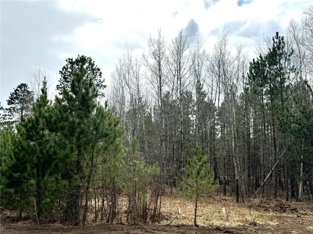 24776 Destination Drive Nevis MN 56467 7057648 image35