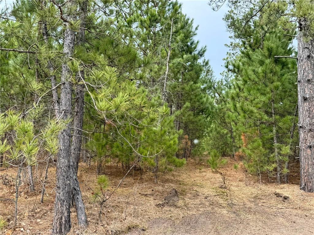 24776 Destination Drive Nevis MN 56467 7057648 image37