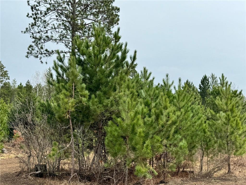 24776 Destination Drive Nevis MN 56467 7057648 image38
