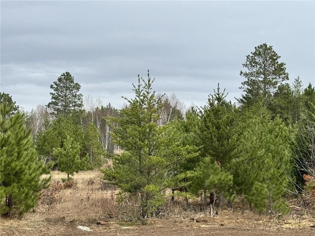 24776 Destination Drive Nevis MN 56467 7057648 image39