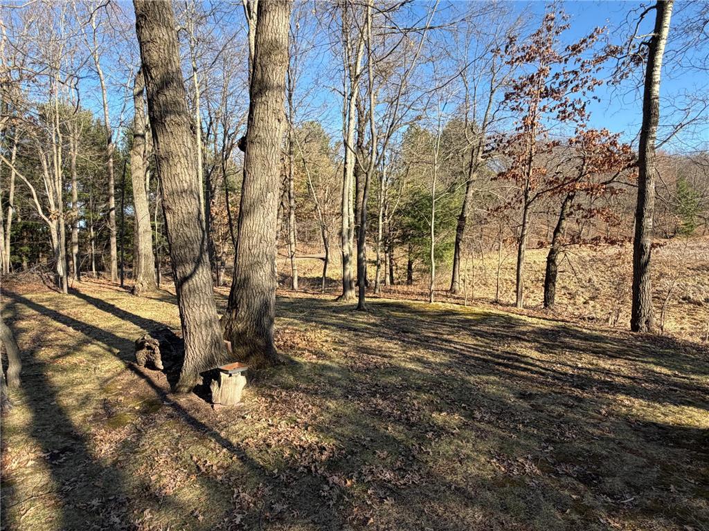 24779 Larrabee Subdivision Road La Follette Twp WI 54893 6812198 image44