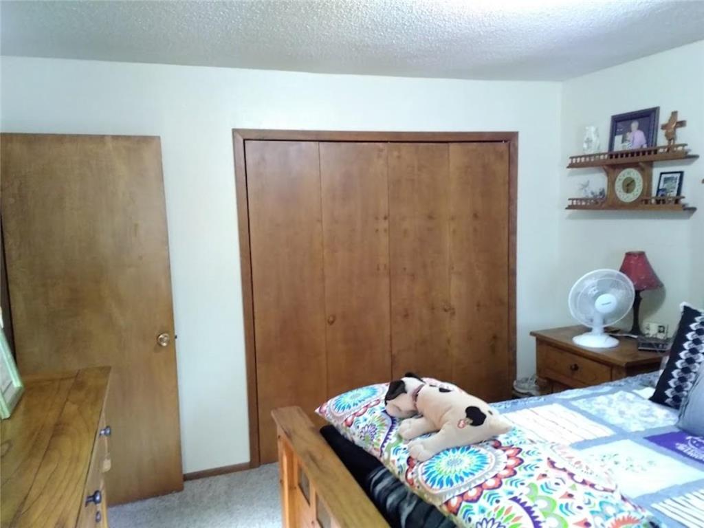 24798 Co Rd 62 Browerville MN 56438 - Long Prairie River 7082114 image27