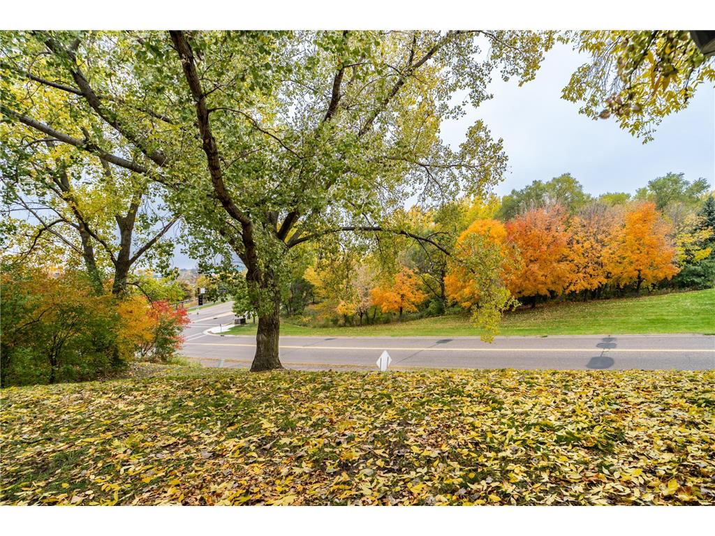 2480 Cobble Hill Alcove #B Woodbury MN 55125 6450579 image1