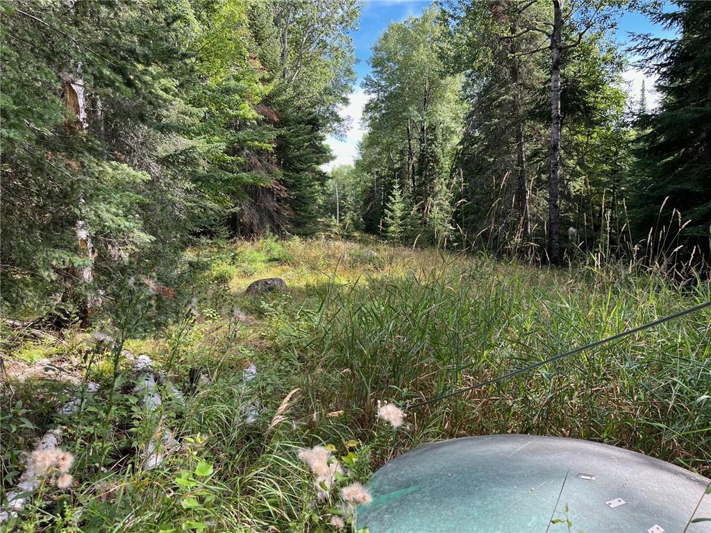 2485 Keyes Island International Falls MN 56649 - Rainy 6744117 image27