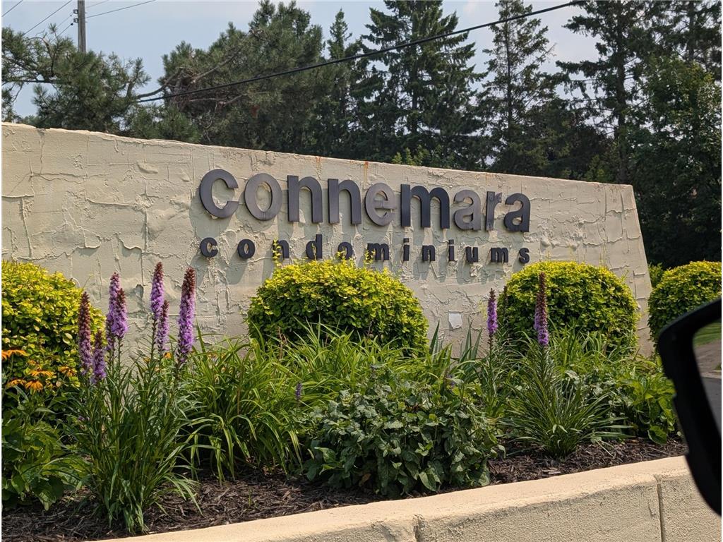 2485 Londin Lane E #323 Maplewood MN 55119 6764862 image1