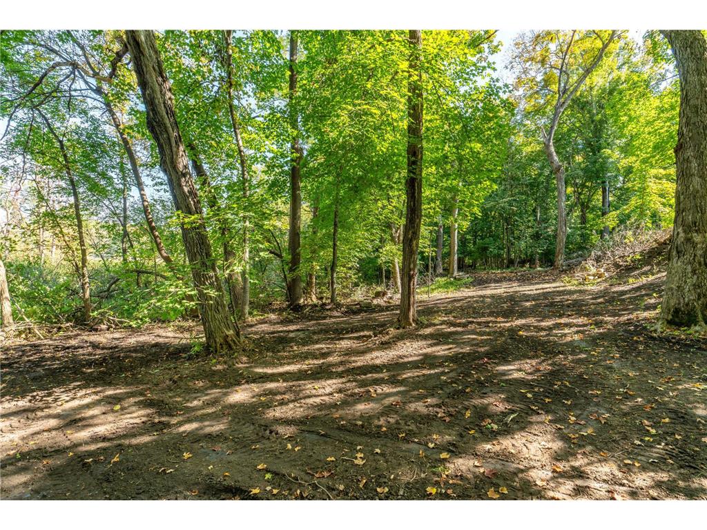 24864 Tri Lakes Drive Lida Twp MN 56572 - North Lida 6815838 image60