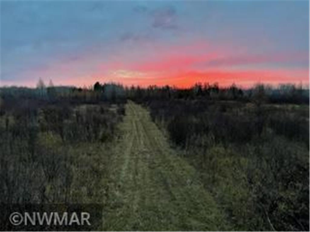 2488 Hay Creek Road SE, Baudette, MN 56623 MLS 6310736 Edina Realty