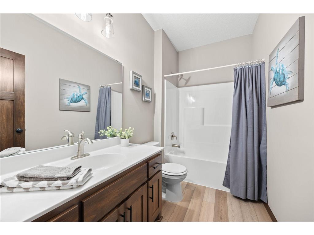 249 3rd Street SW Delano MN 55328 6726056 image11