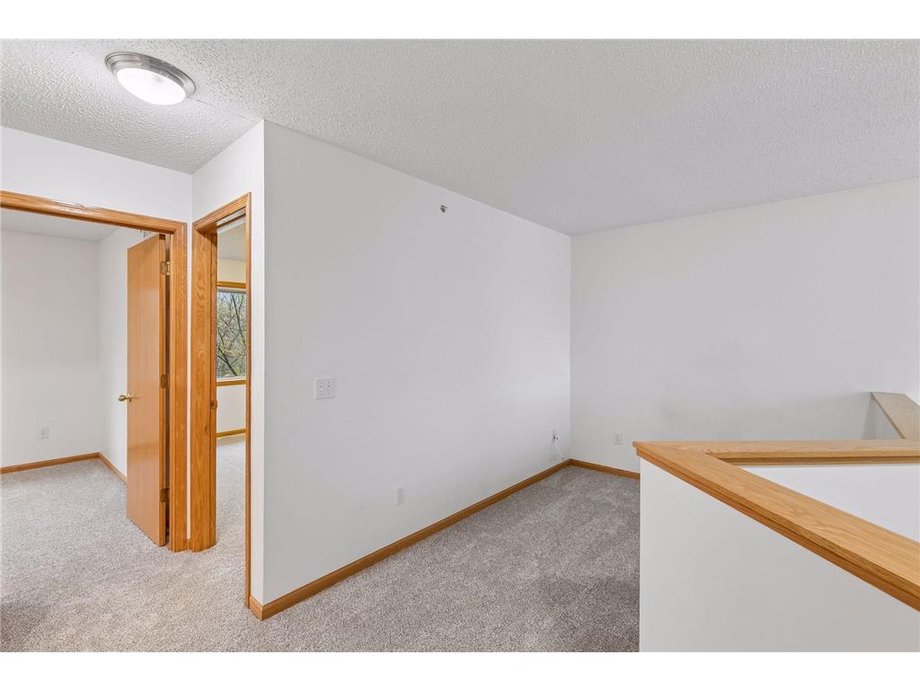 249 Pleasant Lane Chaska MN 55318 7062209 image13