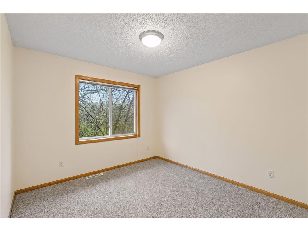 249 Pleasant Lane Chaska MN 55318 7062209 image17