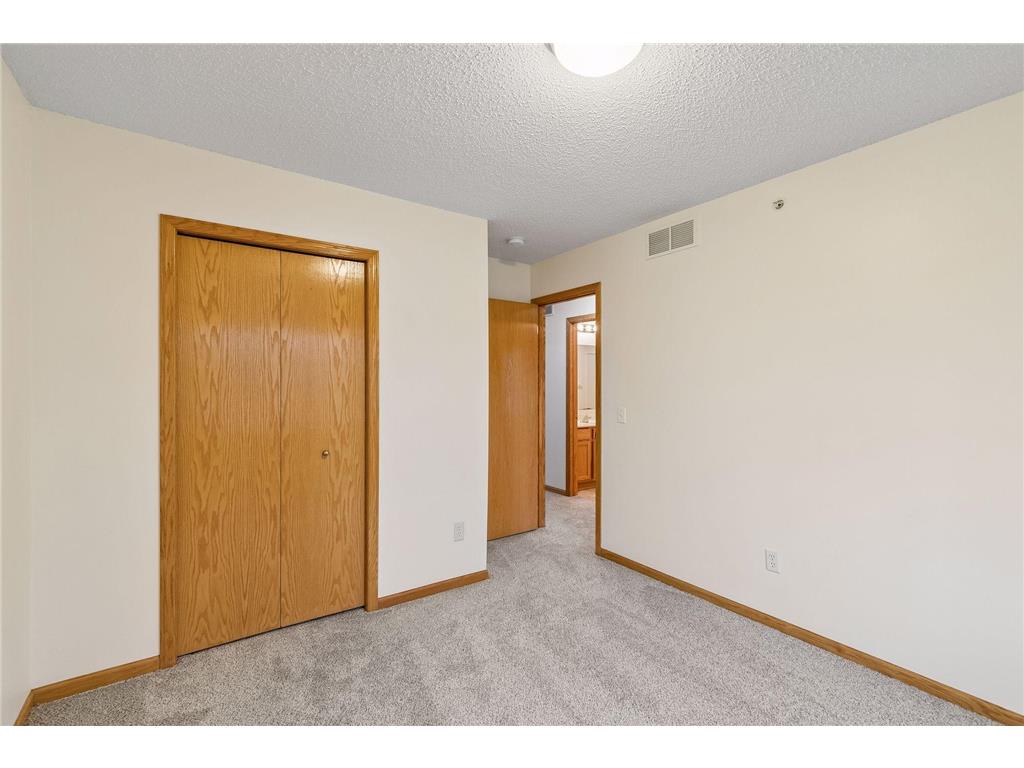 249 Pleasant Lane Chaska MN 55318 7062209 image18