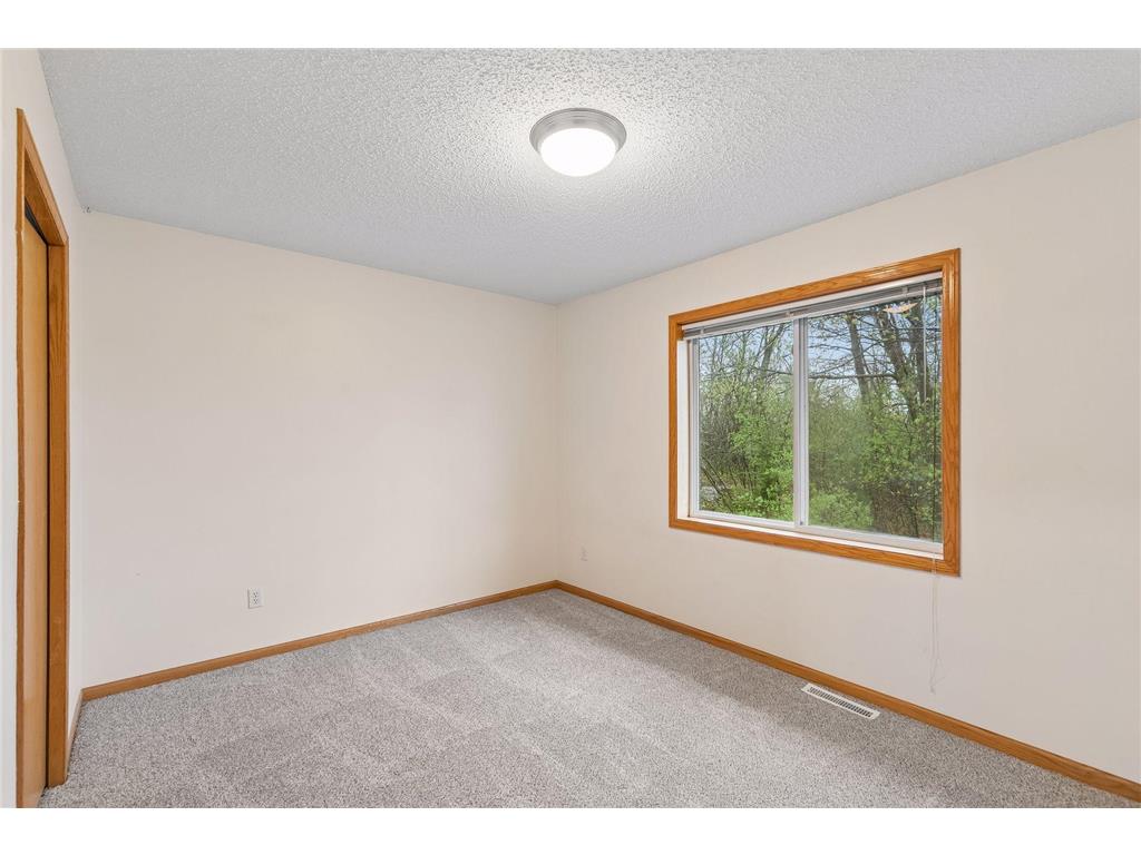 249 Pleasant Lane Chaska MN 55318 7062209 image19