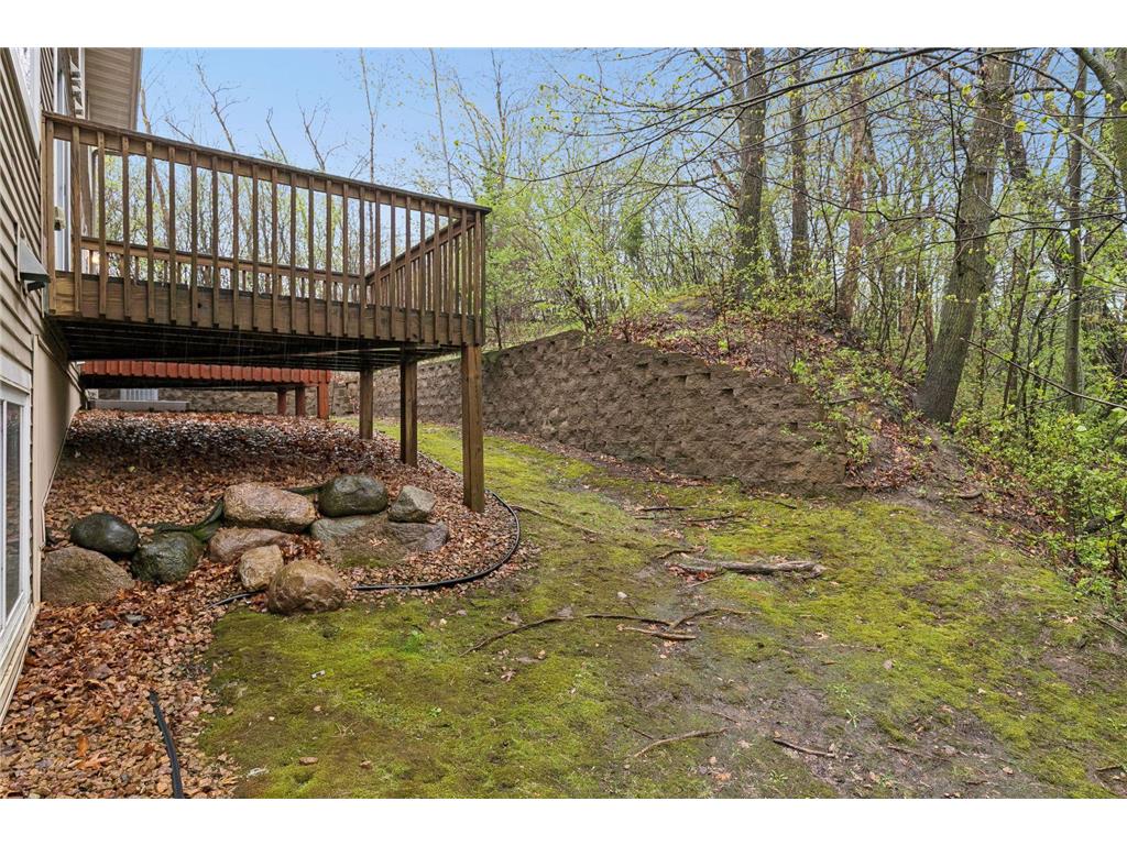249 Pleasant Lane Chaska MN 55318 7062209 image21