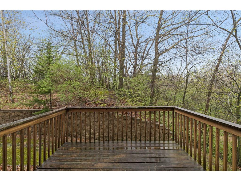 249 Pleasant Lane Chaska MN 55318 7062209 image23