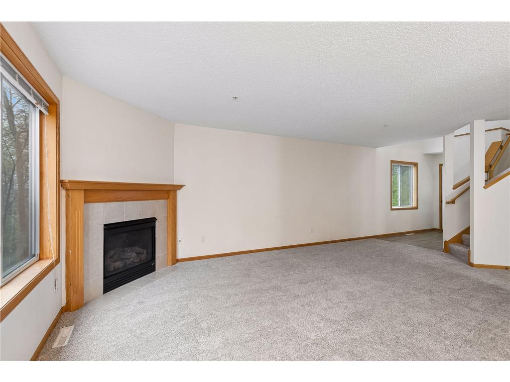 249 Pleasant Lane Chaska MN 55318 7062209 image4