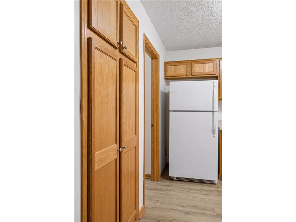 249 Pleasant Lane Chaska MN 55318 7062209 image8