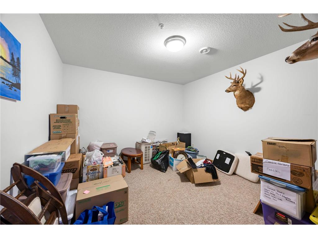 2490 Deer Drive Stanchfield MN 55080 7067662 image56