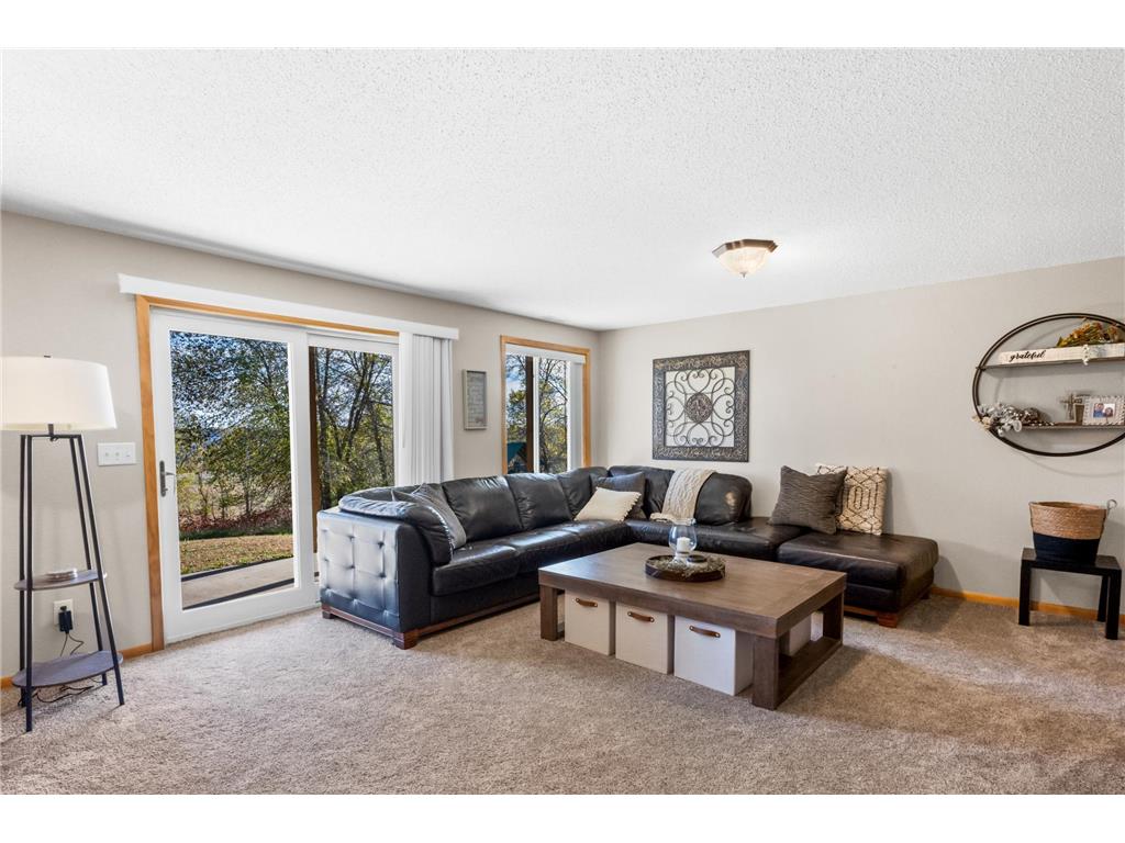 24924 State Highway 28 Minnewaska Twp MN 56334 6803168 image28