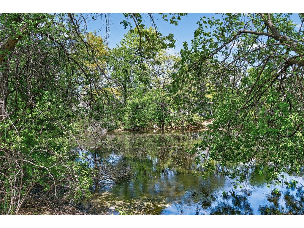 2494 Wilshire Court Mendota Heights MN 55120 7081372 image22